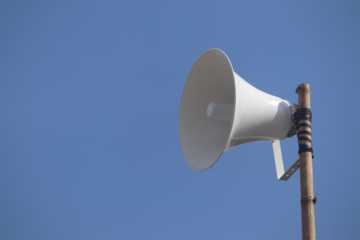 Loudspeaker Horn