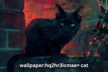 Wallpaper:hq2hr3icmae= Cat