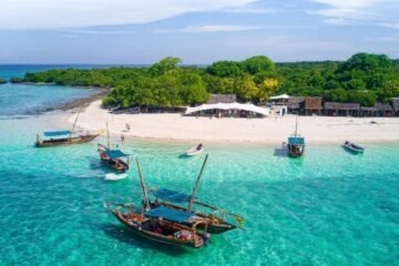 Best Tours in Zanzibar