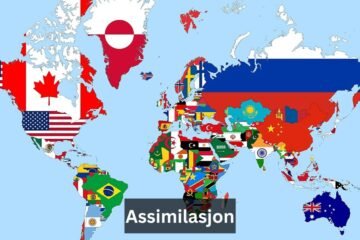 Assimilasjon