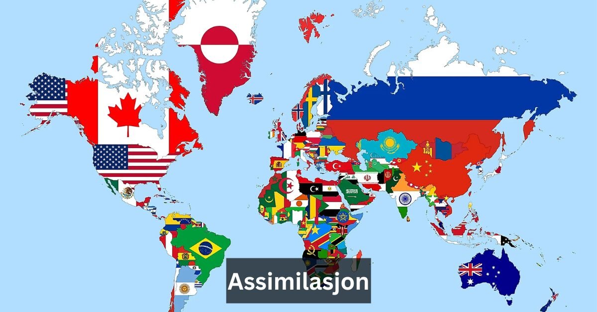 Assimilasjon