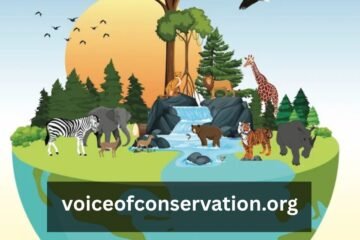 voiceofconservation.org