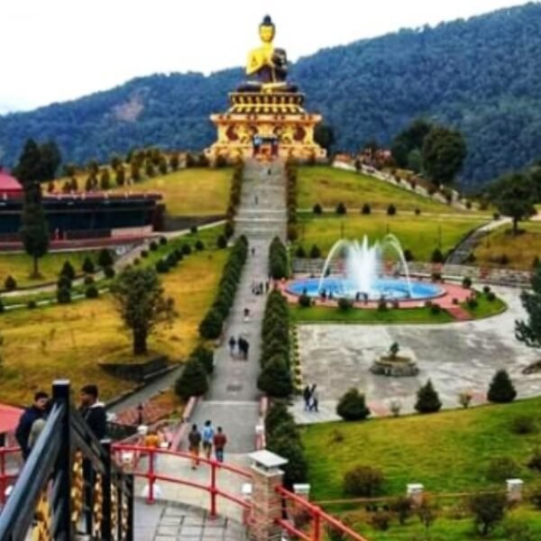 Popular National Parks in Sikkim: A Complete Traveler’s Guide