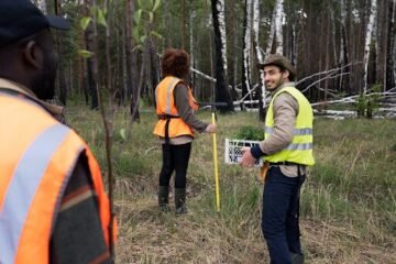 Site Mapping