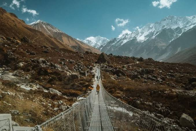 Why Langtang Valley Trek Is Perfect for Nature Enthusiasts